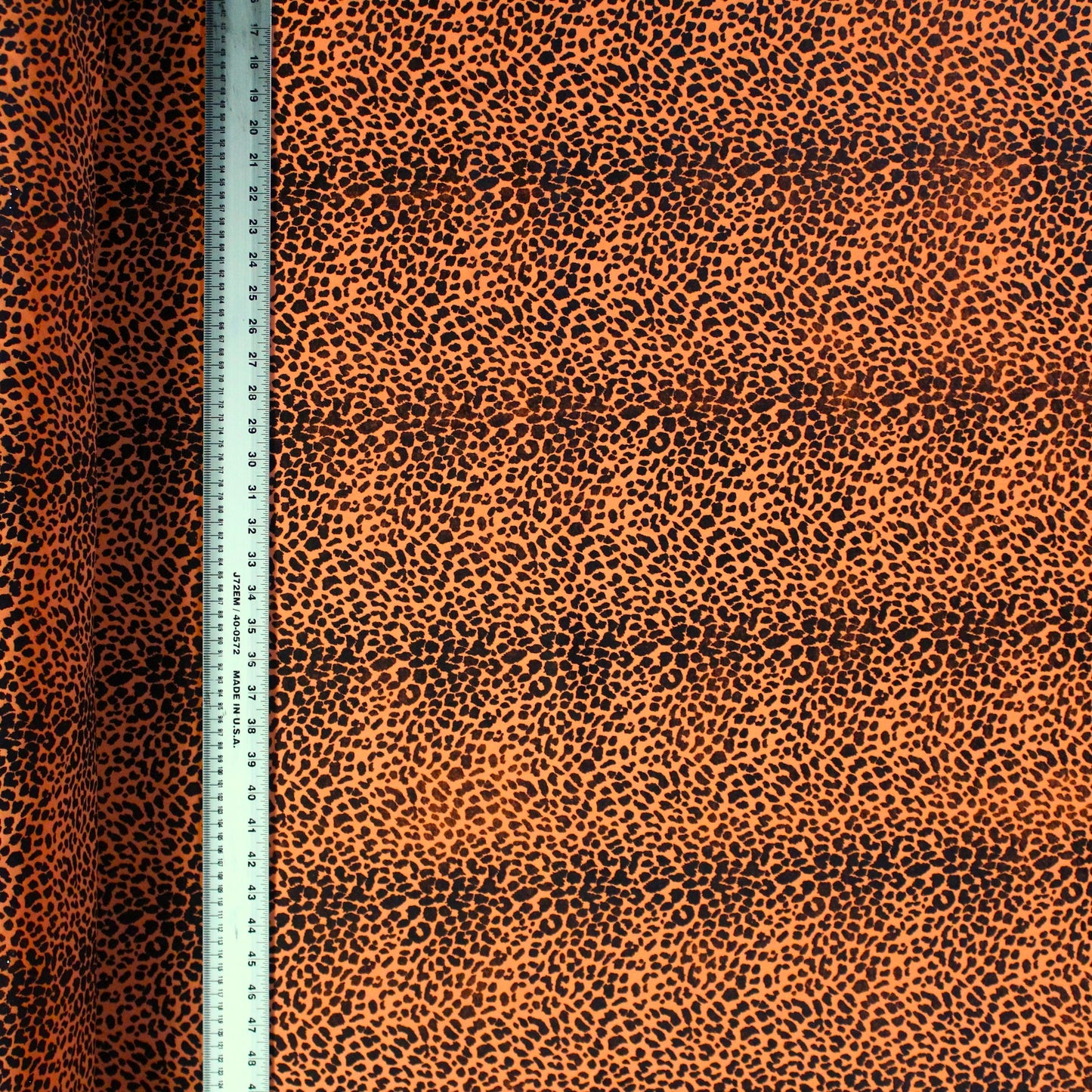 Electric Cheetah