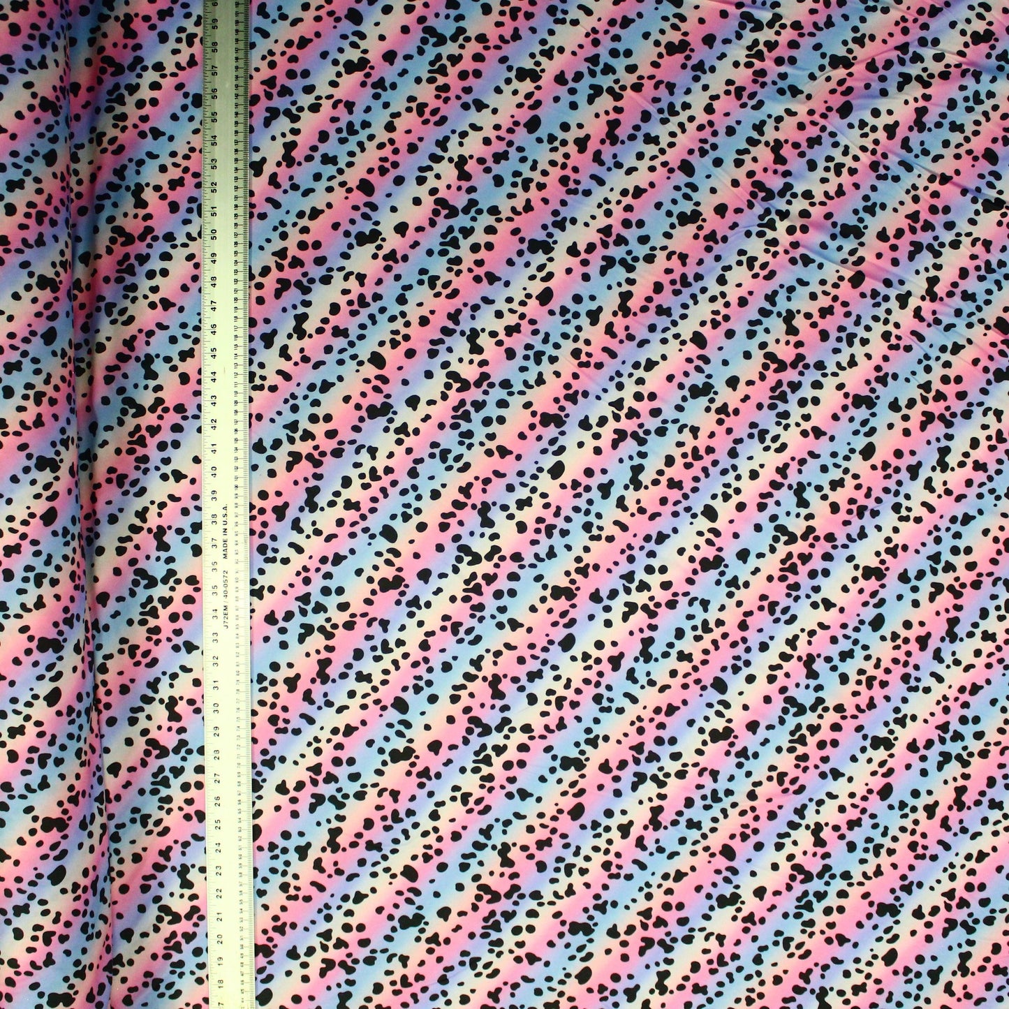Spotted Rainbow