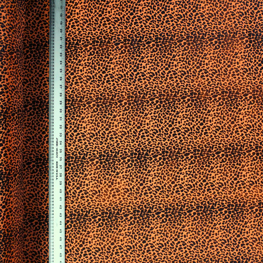 Electric Cheetah