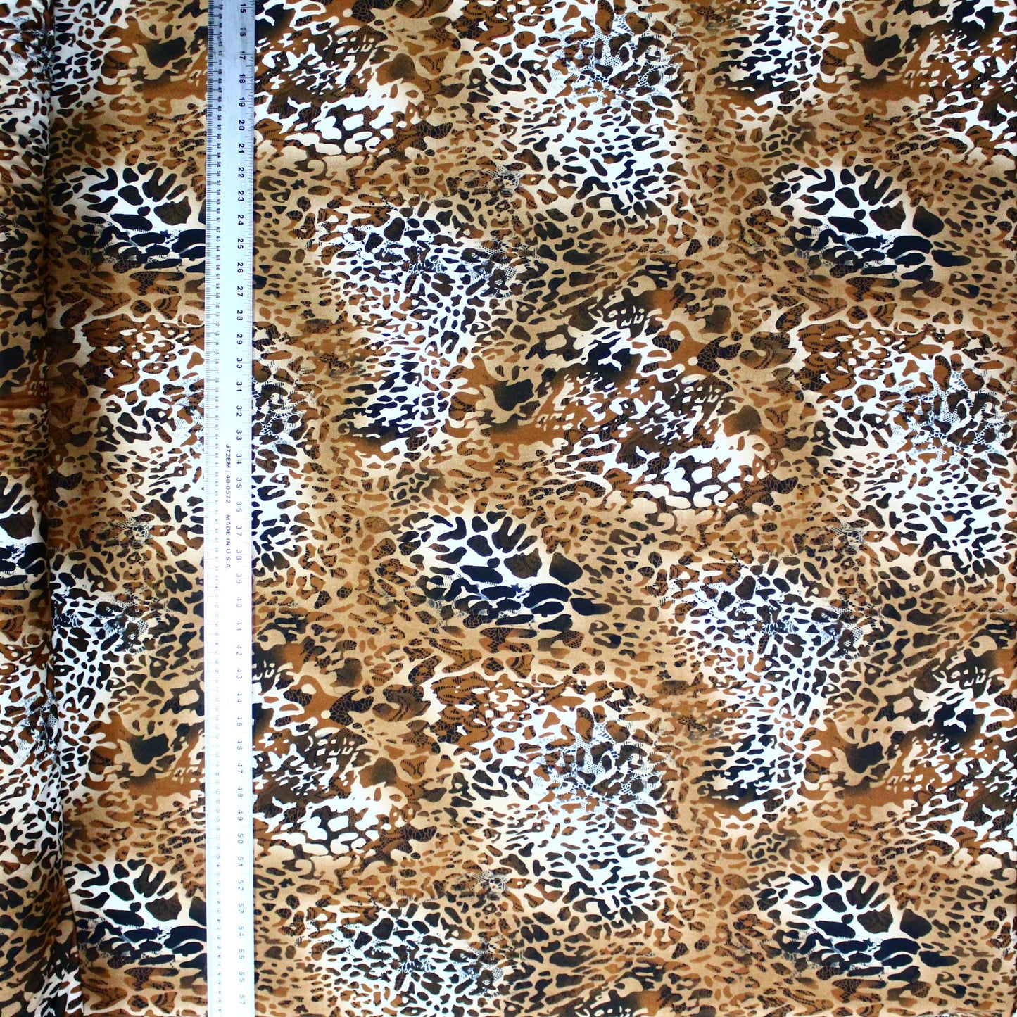 Leopard with White Patches