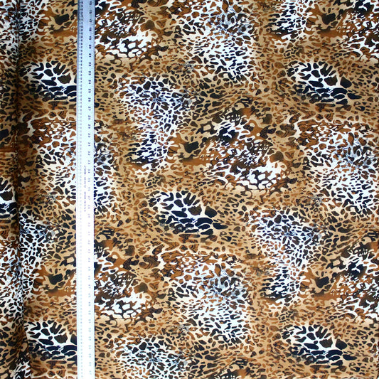 Leopard with White Patches