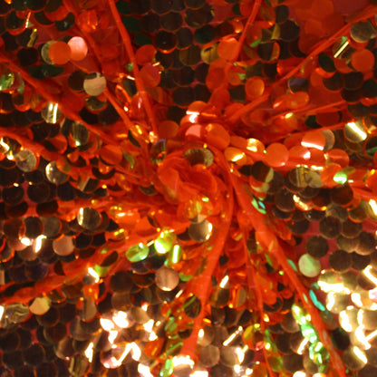 Jumbo Circle Sequins