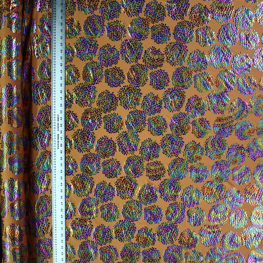 Rainbow Peacock
